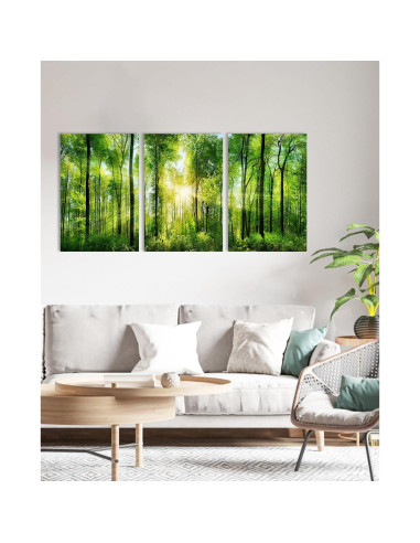Arte de Pared del Bosque HLJ - 3 Paneles Lienzo 50x75 cm