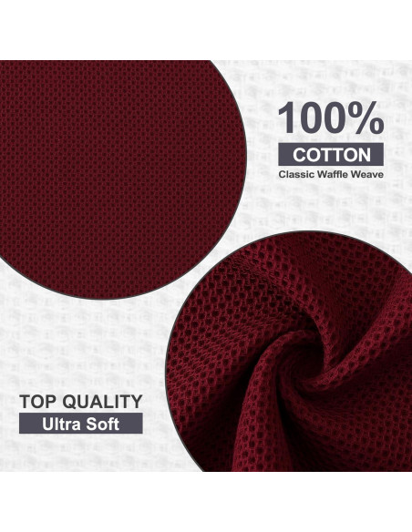 Kitinjoy Paños de Cocina 100% Algodón Burdeos 6 Piezas 30x30 cm