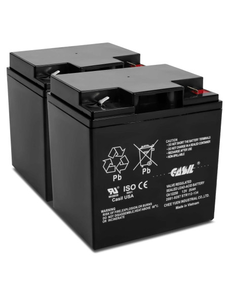 Batería de Reemplazo 12V 25Ah Simplex Grinnell 2081-9287 - Paquete de 2