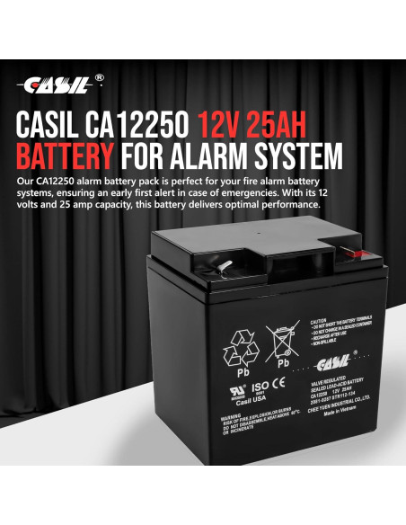 Batería de Reemplazo 12V 25Ah Simplex Grinnell 2081-9287 - Paquete de 2