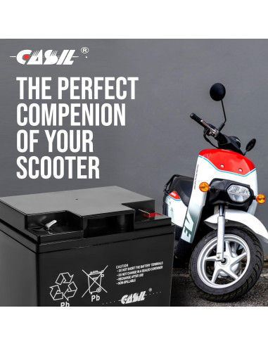 Batería de Reemplazo 12V 25Ah Simplex Grinnell 2081-9287 - Paquete de 2