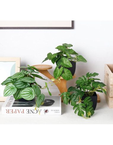 4 Pcs Plantas Falsas Negras Der Rose para Decoración Interior