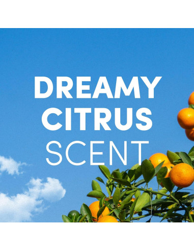 Jabón de Manos Líquido Clean Revolution 236.6 ml - Cítricos Soñadores