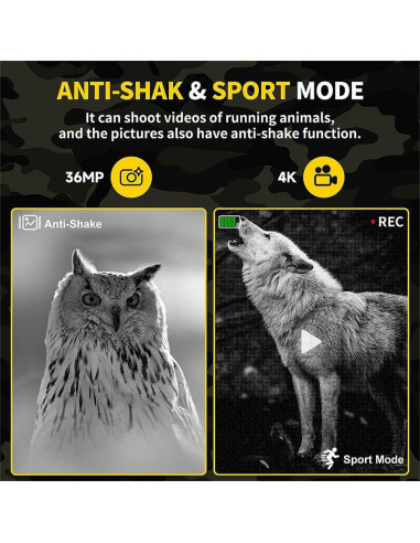 Gafas de Visión Nocturna EliteZ 4K, Zoom Digital 8X, 32GB