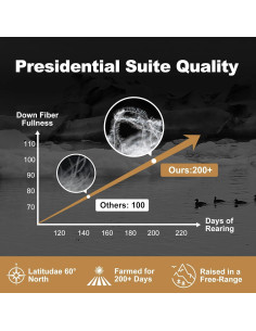 Edredón de Plumas de Pato DownAero Queen 100% Algodón Blanco 2