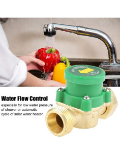 Interruptor de Flujo de Agua Tyenaza 220V G3/4" Automático 2