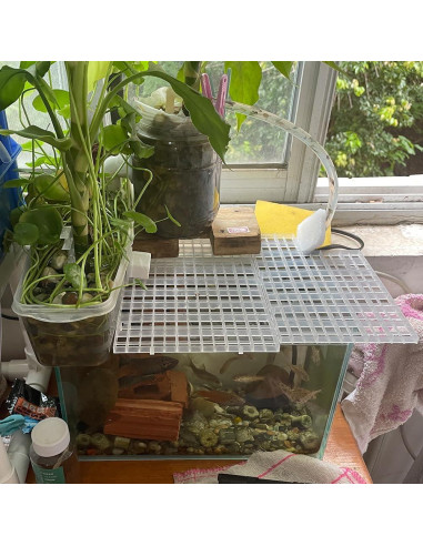 Divisores de Acuario 8PCS DEMONTALK 30x30cm Rejilla Plástica