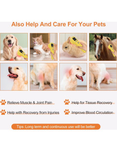 Terapia de Luz Roja ZJKC 4x808nm +16x650nm Alivio Dolor 2