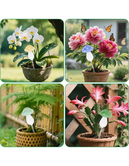 Esferas de Riego Automático de Vidrio Borosilicato - 4 Piezas