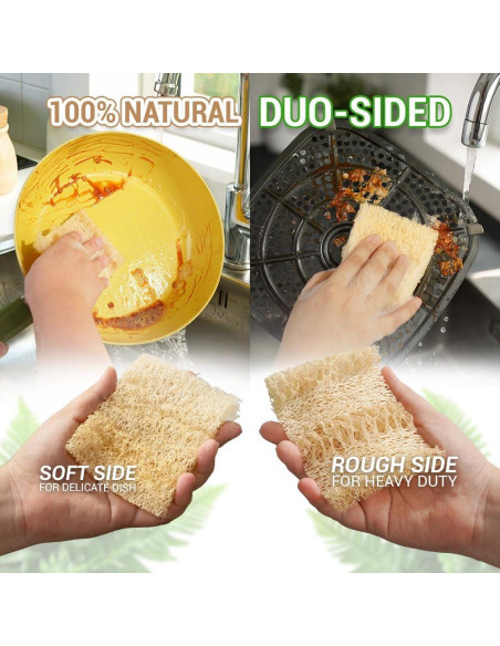 Esponjas de Lufa Doble Cara Herbvian - Paquete de 12 Unidades