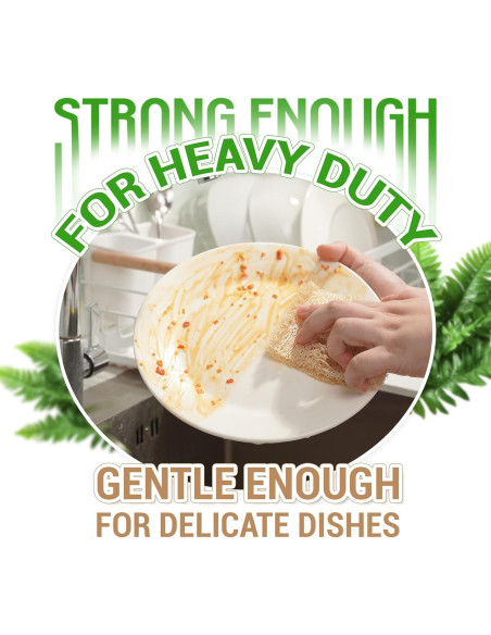 Esponjas de Lufa Doble Cara Herbvian - Paquete de 12 Unidades