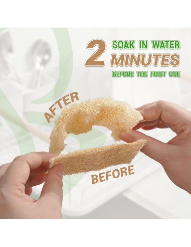 Esponjas de Lufa Doble Cara Herbvian - Paquete de 12 Unidades