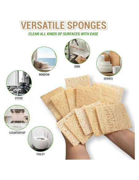 Esponjas de Lufa Doble Cara Herbvian - Paquete de 12 Unidades