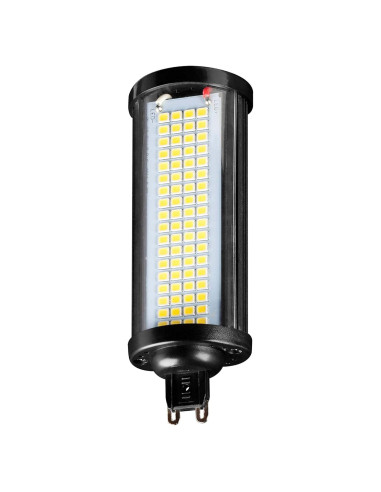 Bombilla LED Mini Zilla 5W 6500K para Terrarios