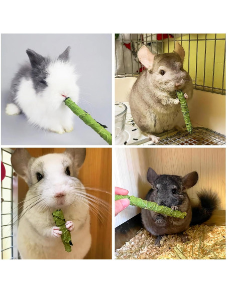 Snacks Masticables Fhiny para Conejos 50g Hoja de Morera