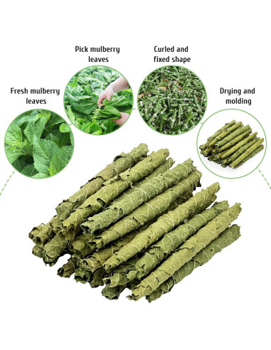 Snacks Masticables Fhiny para Conejos 50g Hoja de Morera