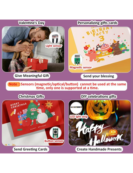 Módulo de Sonido Grabable XLW ZS-3001-1P-CH 16MB Luz LED