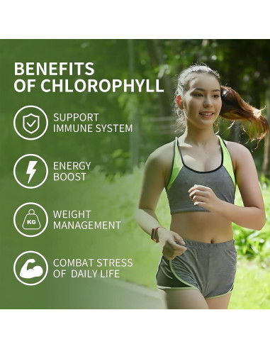 Gomitas de Clorofila Sijigood 60 Unidades Sabor Manzana