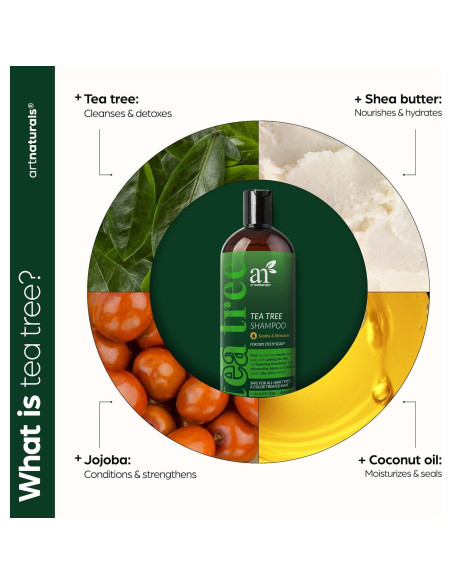 Champú ArtNaturals 473ml - Aceite de Árbol de Té Puro - Anticaspa