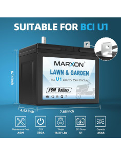 Batería de Cortacésped MARXON U1 12V 330CCA AGM Sin Mantenimiento 2