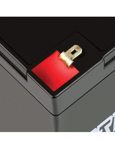 Batería de Plomo Sellada 6V 10AH ExpertPower con Terminal F1