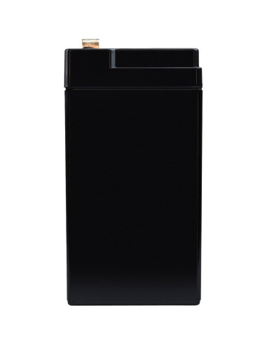 Batería de Plomo Sellada 6V 10AH ExpertPower con Terminal F1