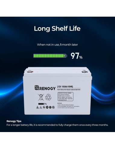Batería AGM Renogy 12V 100Ah - 1100A Descarga Máxima