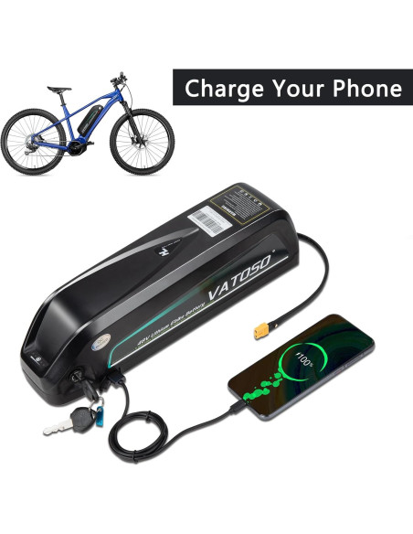 Batería de Litio 48V 12Ah VATOSO con BMS 30A y Cargador