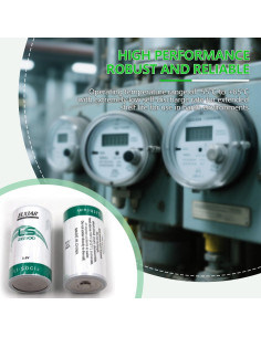 Paquete de 2 Baterías de Litio Cloruro de Tionilo 3.6V 9000mAh 2