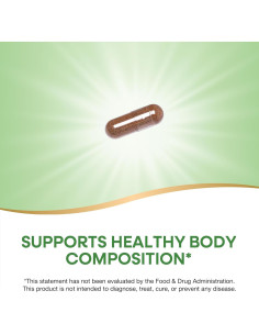 Cápsulas Veganas Forskohlii Forma Ecológica 60 Unidades 2