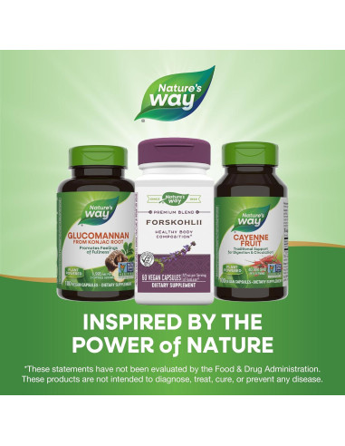 Cápsulas Veganas Forskohlii Forma Ecológica 60 Unidades