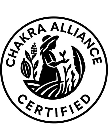 Té Energético Kuri Guayusa Dorada 113.4 g - Hoja Suelta