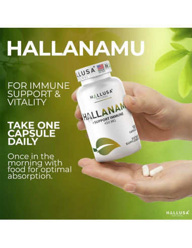 Cápsulas de Raíz de Anamu Hallusa 450 mg - 100 Unidades