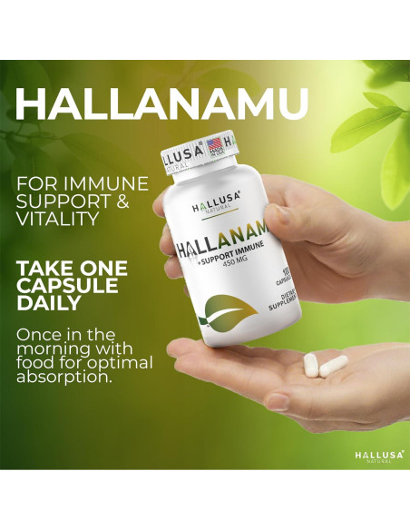 Cápsulas de Raíz de Anamu Hallusa 450 mg - 100 Unidades