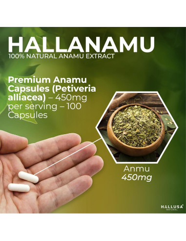 Cápsulas de Raíz de Anamu Hallusa 450 mg - 100 Unidades