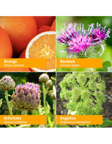 Herb Pharm Better Bitters Amargos Digestivos Naranja 28.35 ml