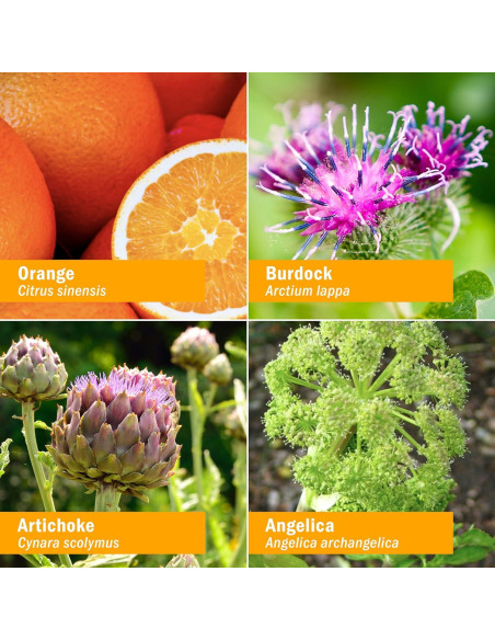 Herb Pharm Better Bitters Amargos Digestivos Naranja 28.35 ml