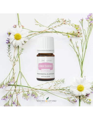 Aceite Esencial Manzanilla Alemana Young Living 5 ml - Antioxidante y Calmante