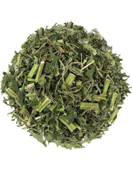 Extracto de Madre Selva Orgánico Puro 300g - Gránulos Herbales