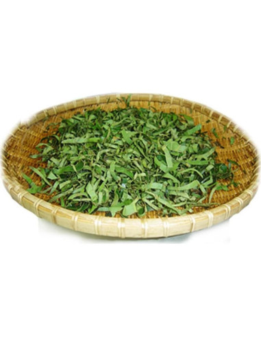 Extracto en polvo de hoja de caqui Goodlife 300g orgánico