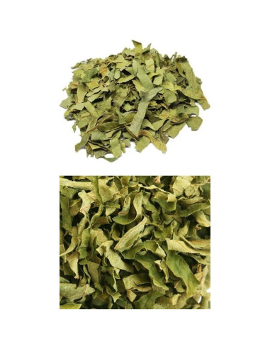 Extracto en polvo de hoja de caqui Goodlife 300g orgánico