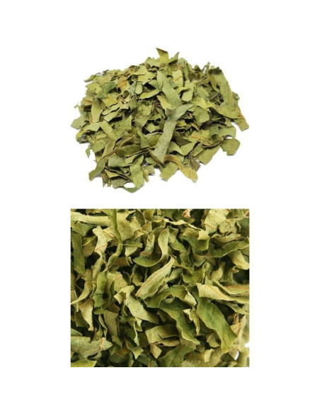 Extracto en polvo de hoja de caqui Goodlife 300g orgánico