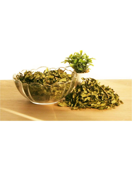 Extracto en polvo de hoja de caqui Goodlife 300g orgánico