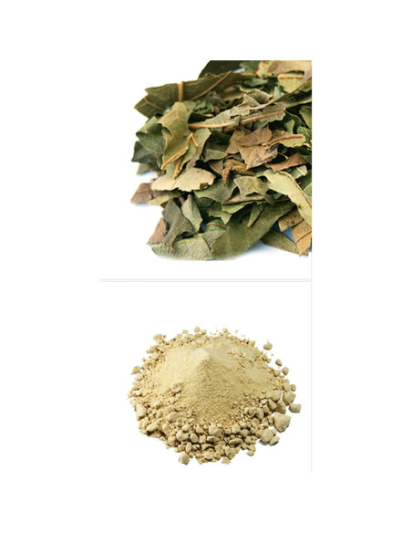 Extracto en polvo de hoja de caqui Goodlife 300g orgánico