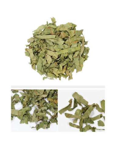 Extracto en polvo de hoja de caqui Goodlife 300g orgánico