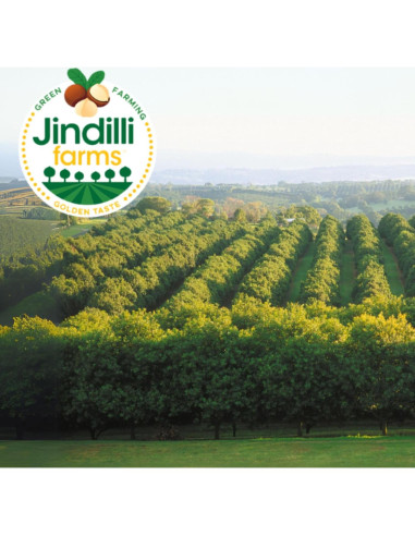 Aceite de Cocina de Macadamia Jindilli 250 ml Prensado en Frío