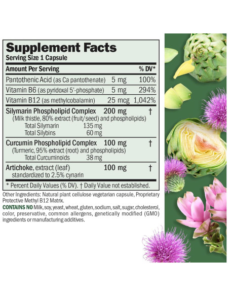 ANDREW LESSMAN Extractos Antioxidantes Hígado 60 Cápsulas
