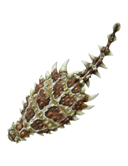 Modelo Dinosaurio PNSO 37 Bart El Pinacosaurus 30cm Modelo Dinosaurio PNSO 37 Bart El Pinacosaurus 30cm