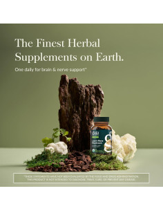 Hongos Melena de León Gaia Herbs - 40 Cápsulas Veganas 2