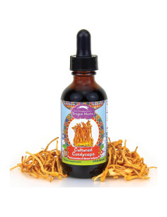 Gotas de Cordyceps Dragon Herbs 60ml - Suplemento Vegetariano
